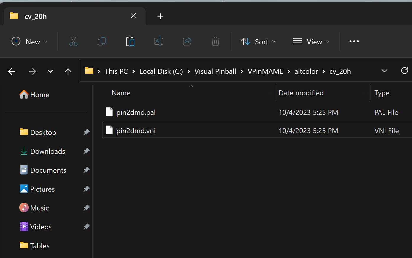Copy pin2dmd.pal and pin2dmd.vni
