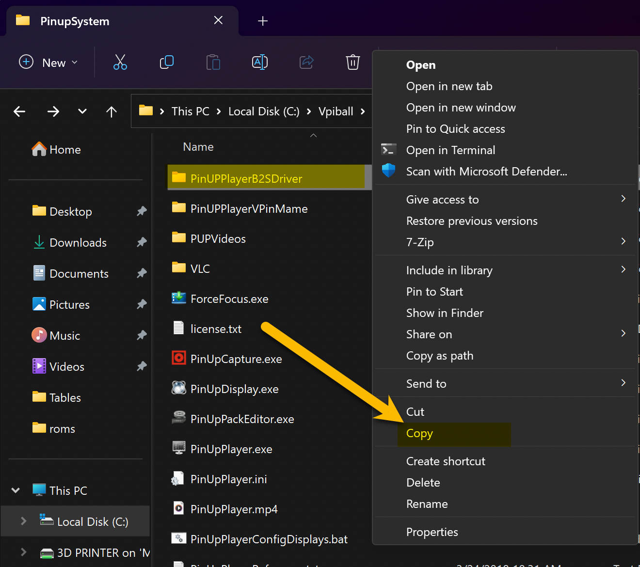Copy PinUPPlayerB2Sdriver