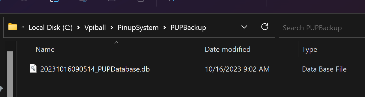 Backup file path